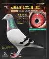 图片暂时未上传