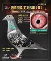 图片暂时未上传