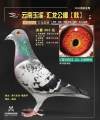 图片暂时未上传