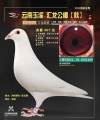 图片暂时未上传