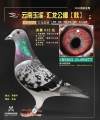 图片暂时未上传