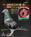 图片暂时未上传