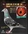 图片暂时未上传