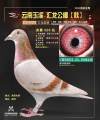 图片暂时未上传