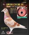 图片暂时未上传