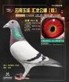 图片暂时未上传
