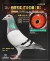 图片暂时未上传