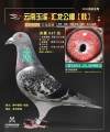 图片暂时未上传