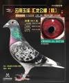 图片暂时未上传