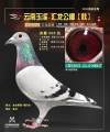 图片暂时未上传
