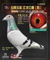 图片暂时未上传