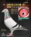 图片暂时未上传