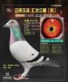 图片暂时未上传