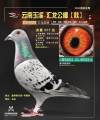图片暂时未上传