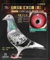图片暂时未上传