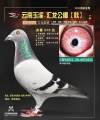 图片暂时未上传