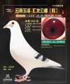 图片暂时未上传