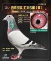 图片暂时未上传
