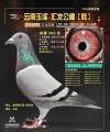 图片暂时未上传