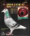 图片暂时未上传