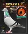 图片暂时未上传
