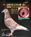 图片暂时未上传