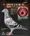 图片暂时未上传