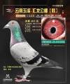 图片暂时未上传