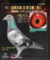 图片暂时未上传