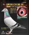 图片暂时未上传