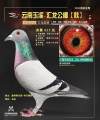 图片暂时未上传