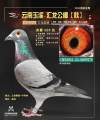 图片暂时未上传