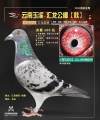 图片暂时未上传