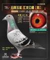 图片暂时未上传