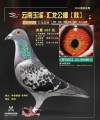 图片暂时未上传