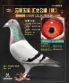 图片暂时未上传