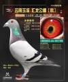 图片暂时未上传