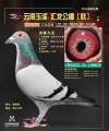 图片暂时未上传