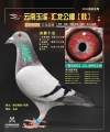 图片暂时未上传