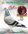 图片暂时未上传