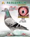 图片暂时未上传