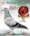 图片暂时未上传