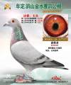 图片暂时未上传