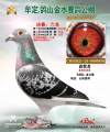 图片暂时未上传