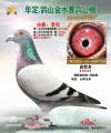 图片暂时未上传