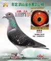 图片暂时未上传