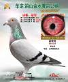 图片暂时未上传