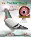 图片暂时未上传