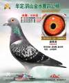 图片暂时未上传