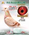 图片暂时未上传